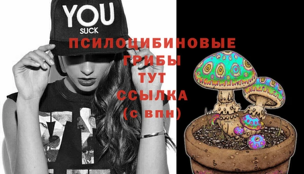 спиды Алзамай