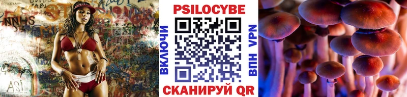 дарнет шоп  Константиновск  Псилоцибиновые грибы Cubensis 